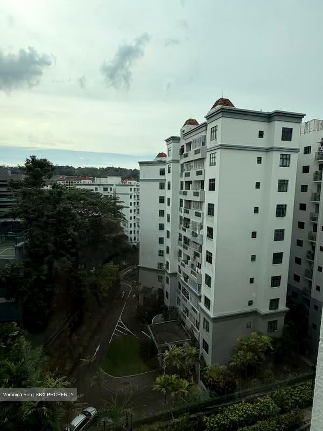 Parc Palais (D21), Condominium #561725751